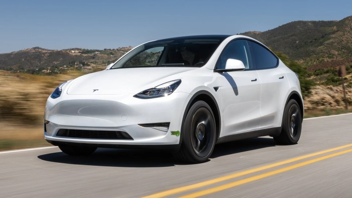 Tesla model y official