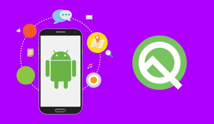 Android q developer preview release soon