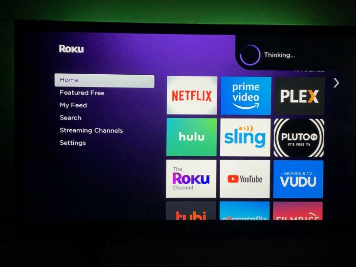 Roku controlled with alexa