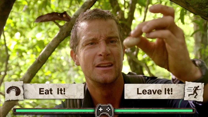 You vs wild netflixs next interactive show bear grylls