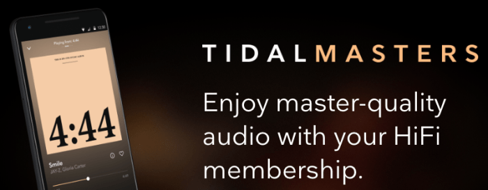 Tidal ios app support hi fidelity audio